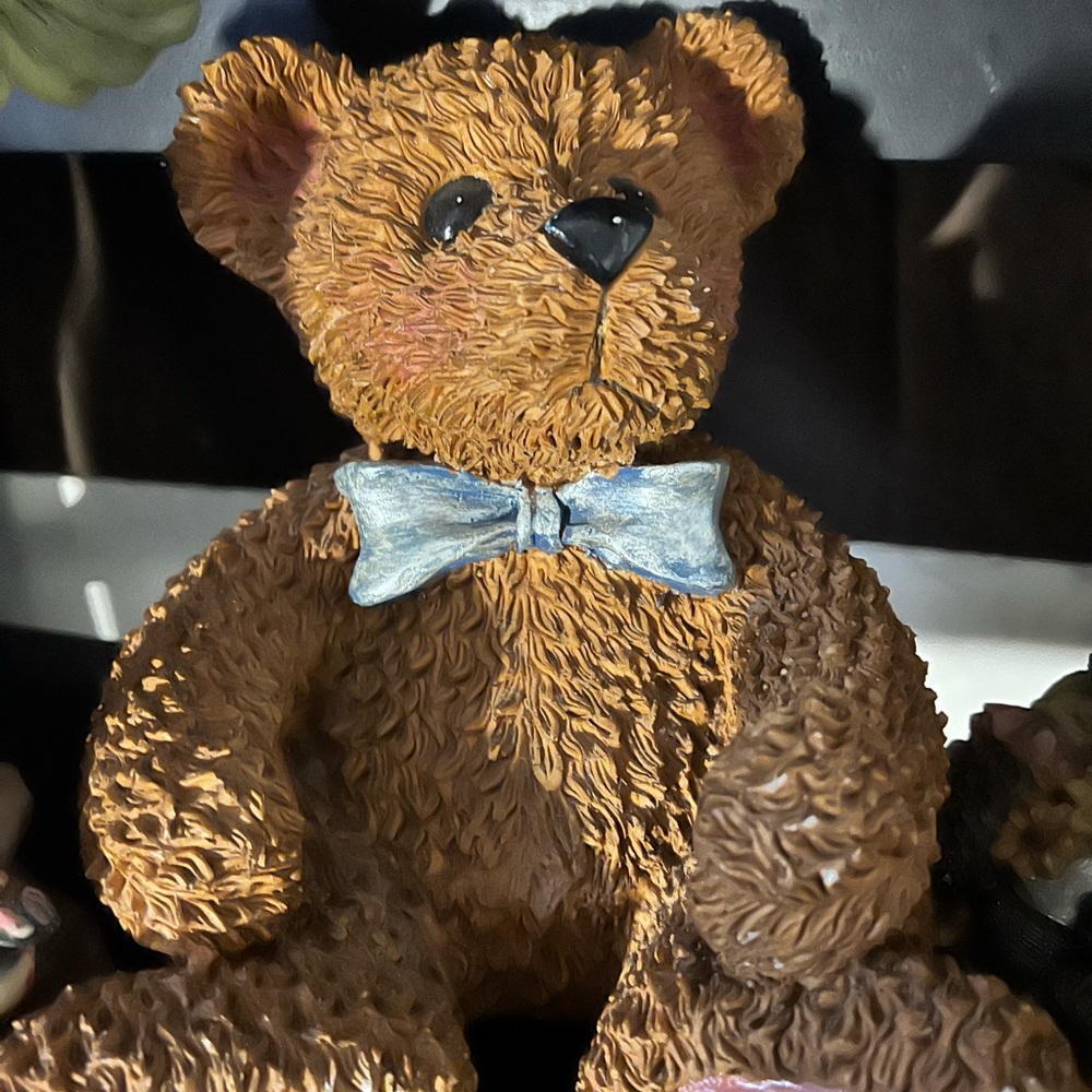 Bear